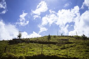 cielo, sky, nature, landscape, paisaje, cloud, white, natural, sunlight, outdoor, naturaleza, azul, colombia, nubes, campo, finca, paisaje, paisaje, paisaje, naturaleza, colombia, colombia, colombia, campo, campo, campo, campo, campo, finca, finca, finca